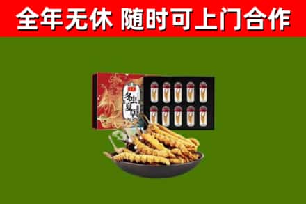龙亭烟酒回收冬虫夏草礼盒.jpg
